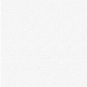 Meet your Posher, Abe